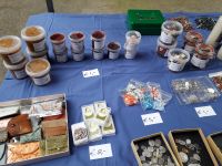 (PHOTO-2019-05-21-13-41-36)